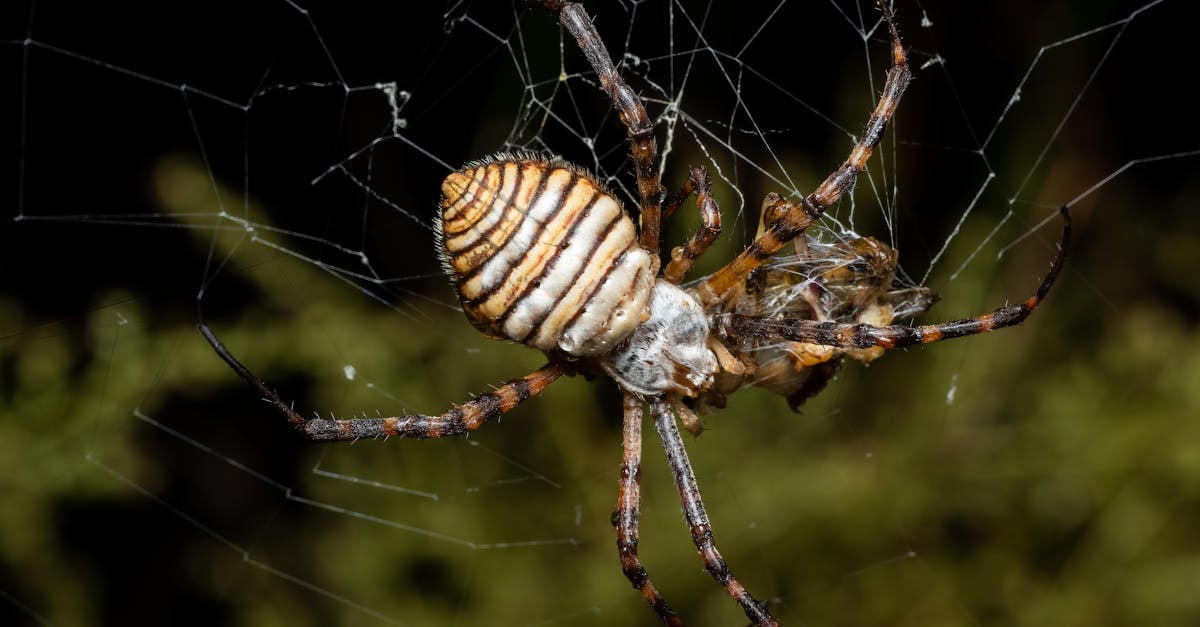 découvrez notre web agency spécialisée dans la création de sites internet, le design graphique et le développement digital sur-mesure pour propulser votre présence en ligne.